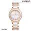 Hotsale New Fashion Ceramic Watch Vintage Ladies Watch Women