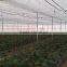 Greenhouse Net Covered Outside