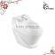 Hidden camera bidet toilet