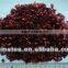 dried red bell pepper 2013