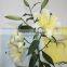 Fragrant aroma classical flower real touch single stem yellow lilies