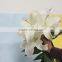 Wide varieties hotsell fresh lilies flower