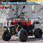 250cc ATV quad bike ATVs 250cc adult buggy trike ATV 4 wheeler ATV for adults