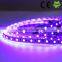 Cheap 5M Roll RGB SMD5050 30leds LED Flexible Strip Light with CE RoHS certification