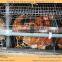 High effective battery poultry cages for layers for sale