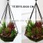 2015 Newest design Hot selling hanging artificial succulent for hotel ,home decoration