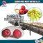 SGS certificate fruits automatic processing washing machine