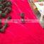 Fasteners track shoe bolts and nuts