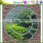 Antique Design Wrough Iron Frame Decorative Carlita Arched Window Wall Mirror For Garden Backyard Patio