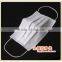 Clean Room Non-woven Disposable Face Mask