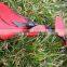 Genuine Heavy Duty Leather Flogger with RED Rose and Petals Whip