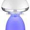 LED Atmosphere Mushroom Lamp