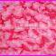 pink rose petals