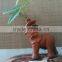 elephant pachira ornamental plants
