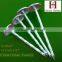 Q235 G9*2'' roofing nails galvanized