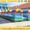 inflatable water Tropical Slide for sale