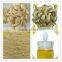 dried ginger powder