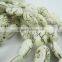 14*10MM oval white color TURQUOISE ivory stone beads,oval ivory loose beads 3220001