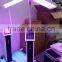 Professional Color Lights Led Pdt Improve fine lines /led Red Light Facial Machine Multi-Function