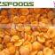 2015 crop frozen apricot dices