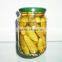 China High quality Canned Pickled Cucumber