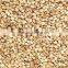 Sesame seeds