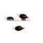 fish shape soy sauce