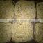 Chinese Egg Noodle