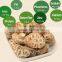 dry flower shiitake/nutrious dried xianggu for sale