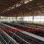 TAIYU Design Layer Chicken Cages 3/4 Tier for Kenya Farms