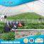 China Online Selling 100% Spunbonded Landscaping Pp Agriculture Nonwoven Fabric