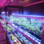 2016 Wholesale Shenzhen LED Grow Light Bar Factory Direct Sale Indoor Plant Grow Bar Commercial Greenhouse/Garden/Farm Grow Bar