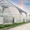 Hot sale multi span farm machinery greenhouse
