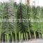 palm branch new product factory Outdoor fake plastic leaf