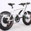 2017 New design 20 inch 36V 350W non-foldable electric fat bike