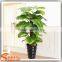 Wholsale China plastiac potted tree indoor decoration artificial green tree fake indoor green tree