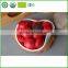 Premium Chinese multi-flavor tuo compressed mini tuo ripe anti cancer puer tea