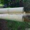decorative short bamboo canes