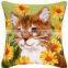 Tapestry set(Printed canvas).CX0690.New style