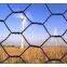 Hexagonal Wire Mesh (fence)