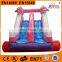 High Quality Outdoor toys inflatable dolphin slides,inflatable water slides