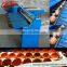 Egg grading machine| egg sorter| egg grader