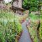 Decorative Metal Garden Edging for Lawn Decoration With Colorful Design