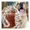 Free sample new style pet toy rope dog chew toy for large dogs