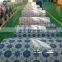 prepainted ppgi steel coil