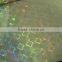 gold hologram foil for paper/hot stamping foil for paper