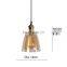 Vintage Pendant Light Glass Lamp Shade with Copper Filament Bulb Holder