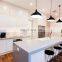 Simple Style Lacquer Kitchen Cupboard Kitchen Cabinet Wood Kitchen Furniture