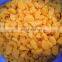 New Crop IQF Frozen Peeled Mandarin Orange Broken