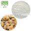 Sciyu Supply Natural Boswellic Acid 65% boswelia serrata extract